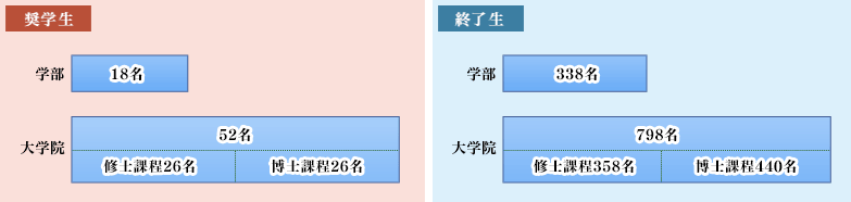 在学する大学の課程グラフ